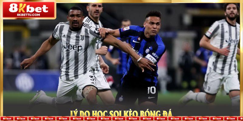 Lý do học soi kèo bóng đá sớm để tự tin cược